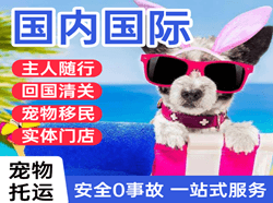 广州机场快运国际宠物托运 【国